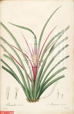 File PSD Tranh sơn dầu phương tây tổng hợp STS80277 (bản gốc) cho nhà in