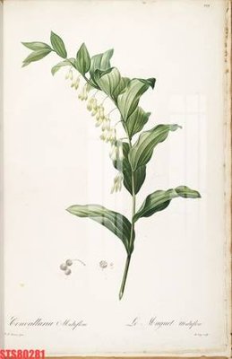 File in trần Tranh sơn dầu phương tây tổng hợp STS80281 (bản gốc 3D) sống động