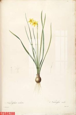 File in ấn cao cấp Tranh sơn dầu phương tây tổng hợp STS80288 (file gốc)