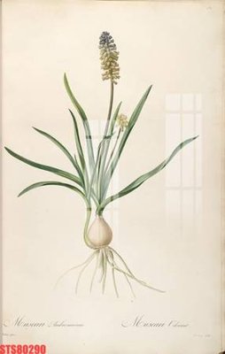 File in ấn Tranh sơn dầu phương tây tổng hợp STS80290 (bản gốc) từ file gốc