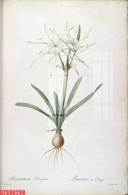 File tranh Tranh sơn dầu phương tây tổng hợp STS80298 (file gốc) chủ đề phong thủy