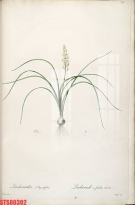 File tranh Tranh sơn dầu phương tây tổng hợp STS80302 (file gốc) chuẩn màu in