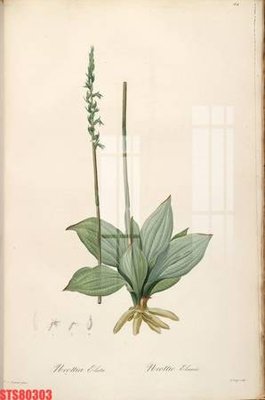 Tải về hình ảnh gốc Tranh sơn dầu phương tây tổng hợp STS80303 sắc nét