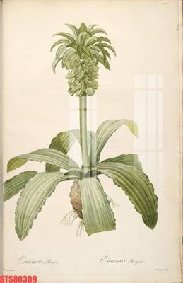 File PSD Tranh sơn dầu phương tây tổng hợp STS80309 (gốc) tách lớp chi tiết