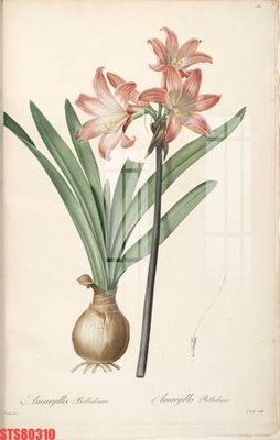 Tải file Tranh sơn dầu phương tây tổng hợp STS80310 (gốc) chủ đề phong thủy