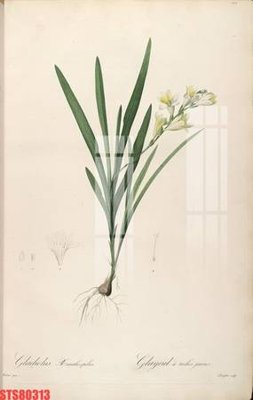 File gốc Tranh sơn dầu phương tây tổng hợp STS80313 (Filetranh.com) Tranh sơn dầu phương tây tổng hợp STS80313