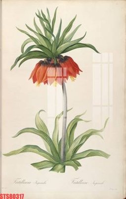 File tranh trang trí Tranh sơn dầu phương tây tổng hợp STS80317 (file gốc)