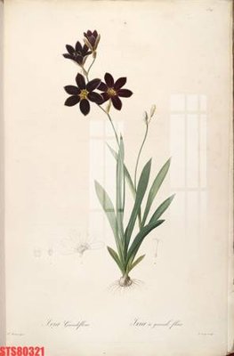 File gốc Tranh sơn dầu phương tây tổng hợp STS80321 (in 3D) nghệ thuật