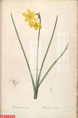 File PSD in ấn Tranh sơn dầu phương tây tổng hợp STS80334 (chất lượng cao)