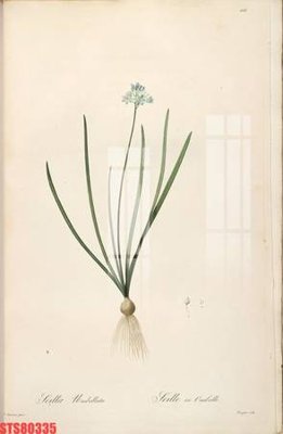 Download file gốc Tranh sơn dầu phương tây tổng hợp STS80335 (dùng cho in ấn)