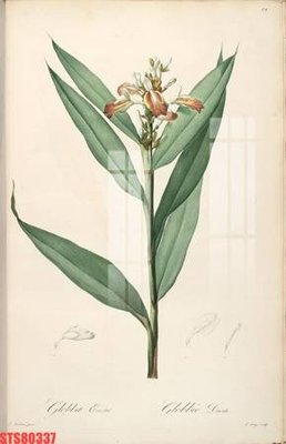 File in trần Tranh sơn dầu phương tây tổng hợp STS80337 (bản gốc 3D) sống động