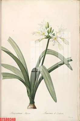 File tranh Tranh sơn dầu phương tây tổng hợp STS80340 (gốc) chủ đề thành phố