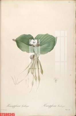 Tải file gốc Tranh sơn dầu phương tây tổng hợp STS80345 (bản PSD) còn layer