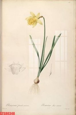 File tranh quảng cáo Tranh sơn dầu phương tây tổng hợp STS80348 (download file gốc)