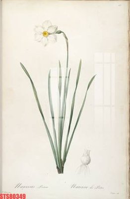 File gốc Tranh sơn dầu phương tây tổng hợp STS80349 (chuẩn CMYK) cho nhà in