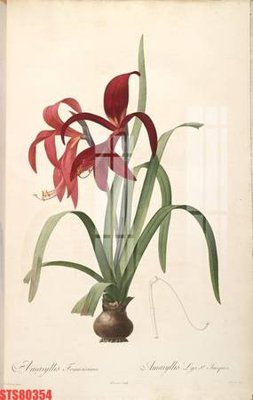 File in ấn chuyên nghiệp Tranh sơn dầu phương tây tổng hợp STS80354 (file gốc)