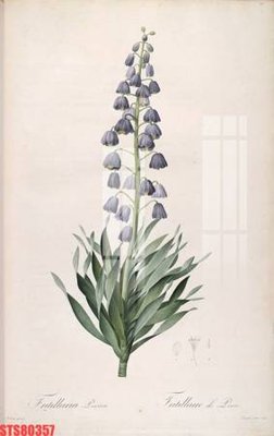 Tải file Tranh sơn dầu phương tây tổng hợp STS80357 (gốc) làm tranh trang trí