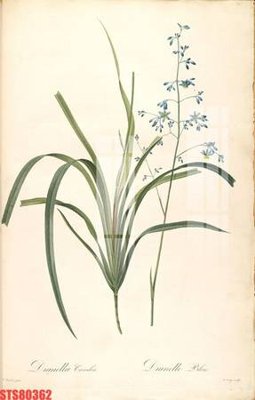 Mua file gốc Tranh sơn dầu phương tây tổng hợp STS80362 (in ấn) tại Filetranh.com