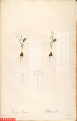 File gốc Tranh sơn dầu phương tây tổng hợp STS80364 (ảnh chi tiết) để in trần