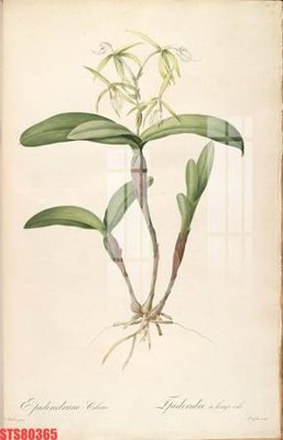 File tranh quảng cáo Tranh sơn dầu phương tây tổng hợp STS80365 (download file gốc)