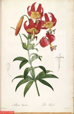 Hình ảnh file gốc in trần nhà Tranh sơn dầu phương tây tổng hợp STS80373