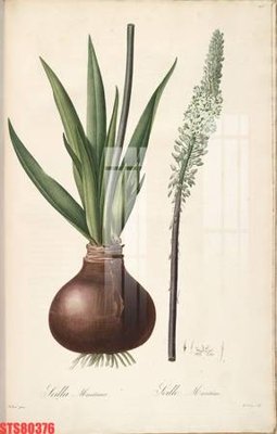 Tải file Tranh sơn dầu phương tây tổng hợp STS80376 (ảnh gốc) in gạch 3D