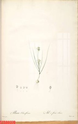 File tranh Tranh sơn dầu phương tây tổng hợp STS80378 (ảnh gốc) không bị mờ