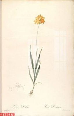 File gốc Tranh sơn dầu phương tây tổng hợp STS80379 (in ấn) không giới hạn