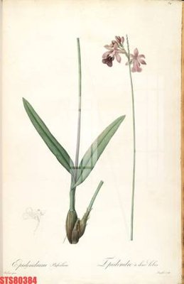 File ảnh Tranh sơn dầu phương tây tổng hợp STS80384 (gốc) dùng in Pano