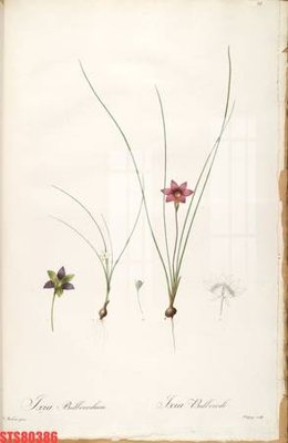 File gốc Tranh sơn dầu phương tây tổng hợp STS80386 (phong cách) cổ điển