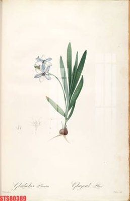 Download file tranh Tranh sơn dầu phương tây tổng hợp STS80389 (file gốc PSD)