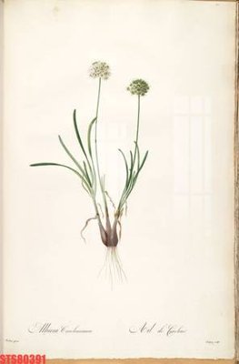 File tranh Tranh sơn dầu phương tây tổng hợp STS80391 (bản gốc) in lụa 5D