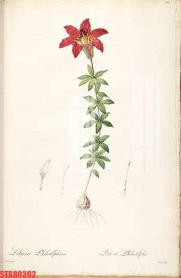 File PSD Tranh sơn dầu phương tây tổng hợp STS80392 (bản gốc) chất lượng nhất