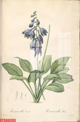 File tranh Tranh sơn dầu phương tây tổng hợp STS80393 (gốc) in trên kính