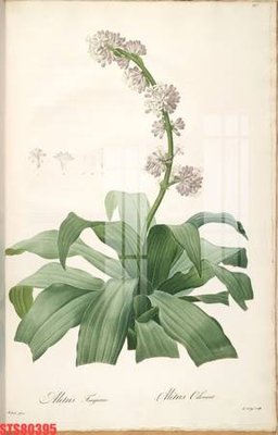 File tranh trang trí Tranh sơn dầu phương tây tổng hợp STS80395 (file gốc)