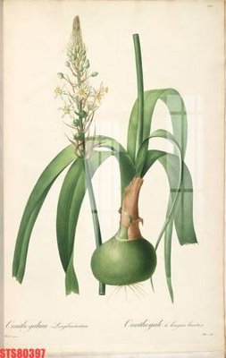 File gốc in ấn Tranh sơn dầu phương tây tổng hợp STS80397 (sẵn sàng tải về)