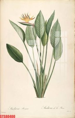 Tệp tin gốc Tranh sơn dầu phương tây tổng hợp STS80400 (dùng cho in) Tranh sơn dầu phương tây tổng hợp STS80400