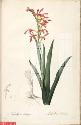 Mua file gốc Tranh sơn dầu phương tây tổng hợp STS80404 (chất lượng) tại Filetranh.com