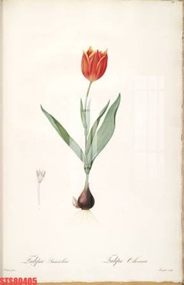 File tranh Tranh sơn dầu phương tây tổng hợp STS80405 (ảnh gốc) độ nét vượt trội