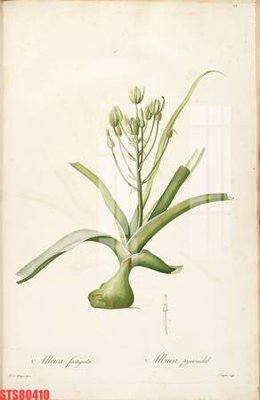 Tải file tranh Tranh sơn dầu phương tây tổng hợp STS80410 (gốc) tại Filetranh.com