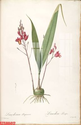 File in ấn Tranh sơn dầu phương tây tổng hợp STS80412 (bản gốc) cao cấp