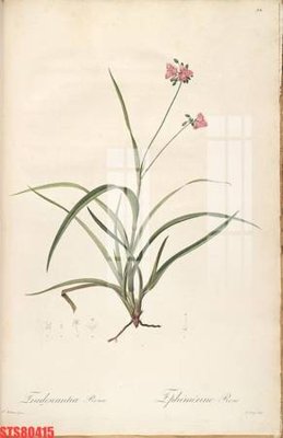 File tranh in mica Tranh sơn dầu phương tây tổng hợp STS80415 (độ phân giải cao)