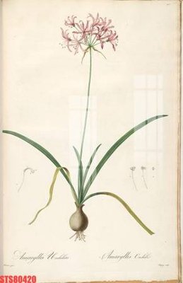 Tải file gốc Tranh sơn dầu phương tây tổng hợp STS80420 (in tráng gương) 5DFile gốc Tranh sơn dầu phương tây tổng hợp STS80420 (in ấn) phiên bản premium