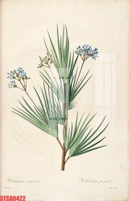 Tải file gốc Tranh sơn dầu phương tây tổng hợp STS80422 (in bạt) quảng cáo