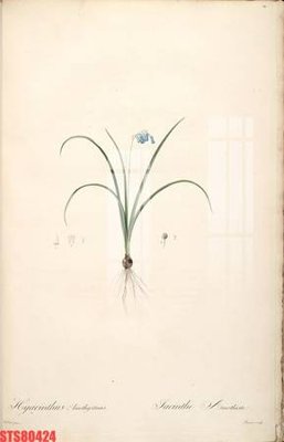 Chi tiết file gốc Tranh sơn dầu phương tây tổng hợp STS80424 (cho in tráng gương)