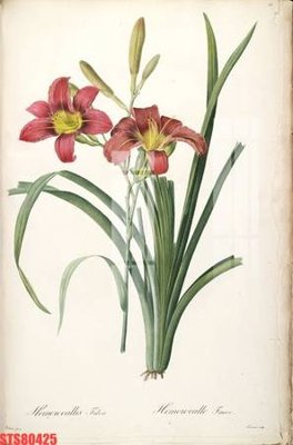 File tranh Tranh sơn dầu phương tây tổng hợp STS80425 (file gốc) chuẩn màu in