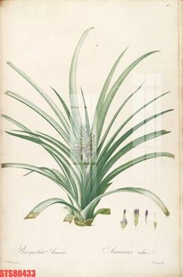 File gốc Tranh sơn dầu phương tây tổng hợp STS80433 cho in ấn và thiết kế