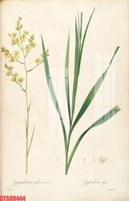 Tải file gốc Tranh sơn dầu phương tây tổng hợp STS80444 (bản PSD) chỉnh sửa được