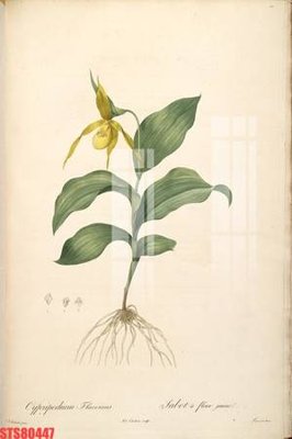 Hình ảnh file gốc in trần nhà Tranh sơn dầu phương tây tổng hợp STS80447