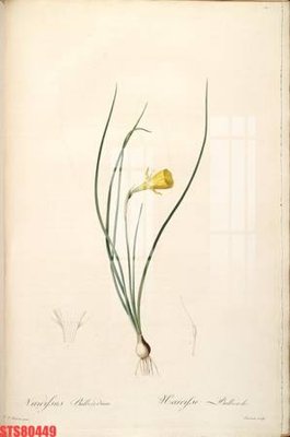 Tải file Tranh sơn dầu phương tây tổng hợp STS80449 (gốc) chủ đề tâm linh